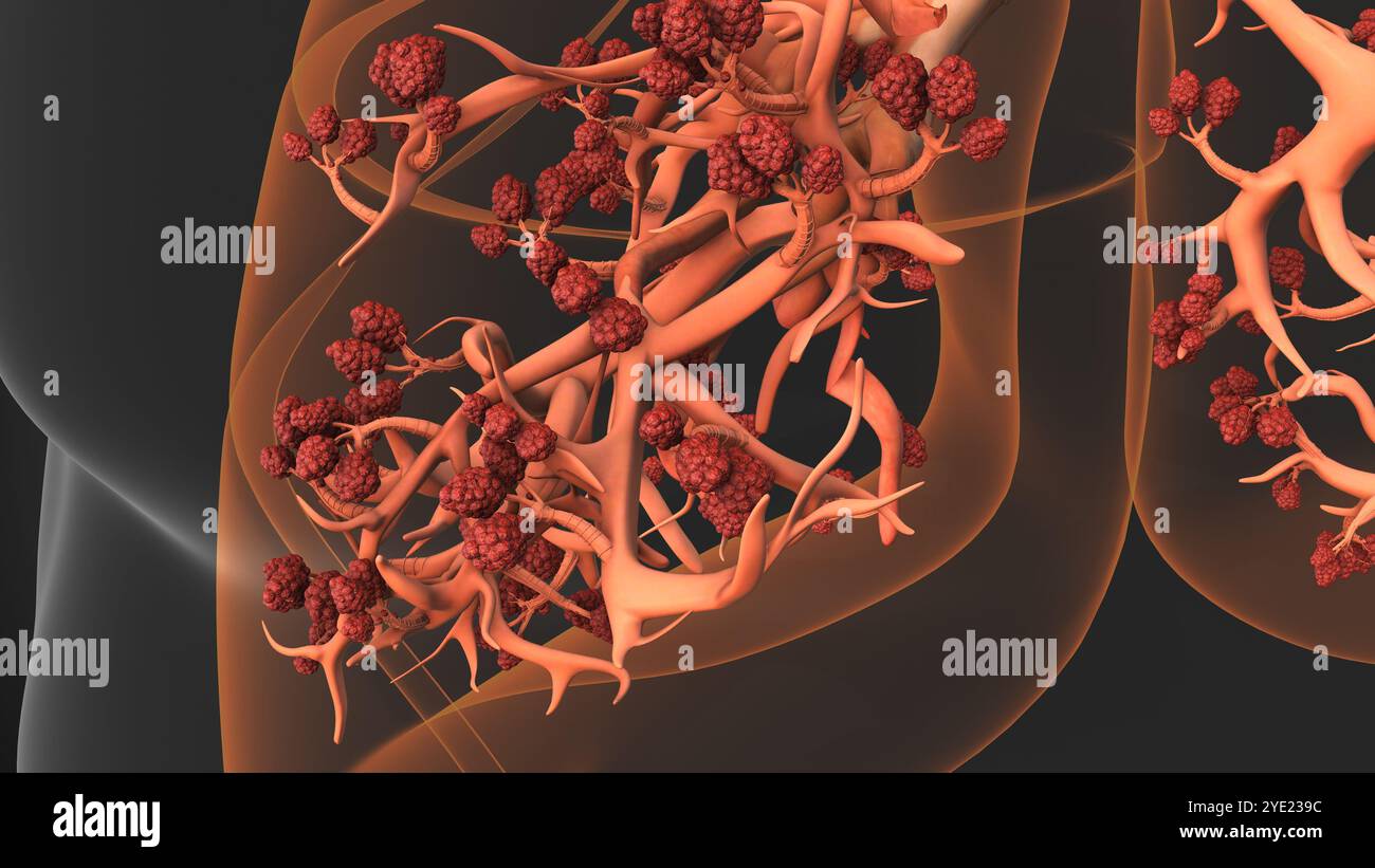 Alvéoles pulmonaires prenant en charge la respiration vitale et le débit d'oxygène Banque D'Images
