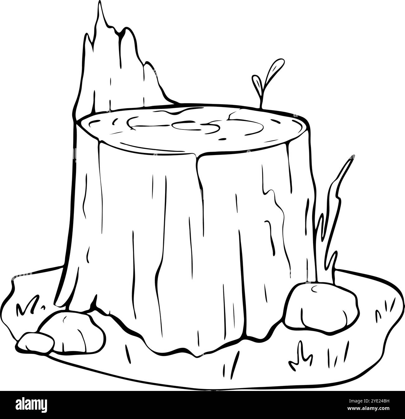 Un Stump en bois soigneusement entouré de divers éléments de la nature et de ses composants. Esquisse vectorielle. tourisme Illustration de Vecteur