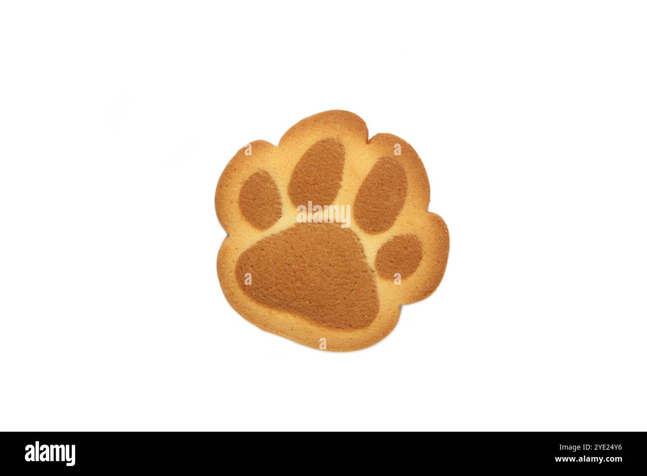 Cookies de patte de chat auto-fabriqués isolés sur fond blanc. Vue de dessus Banque D'Images