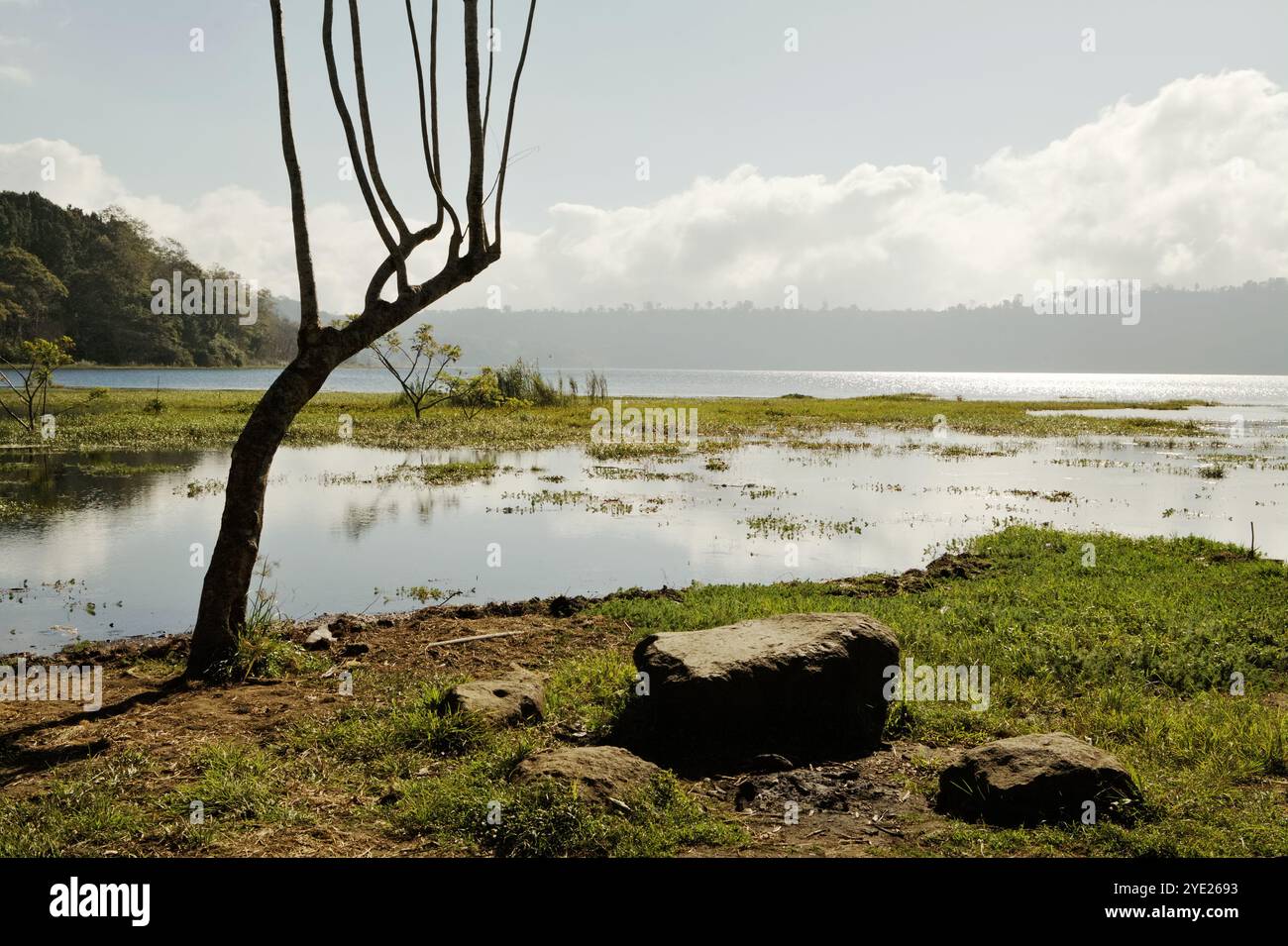 Lac Buyan à Bueleng, Bali, Indonésie. Banque D'Images