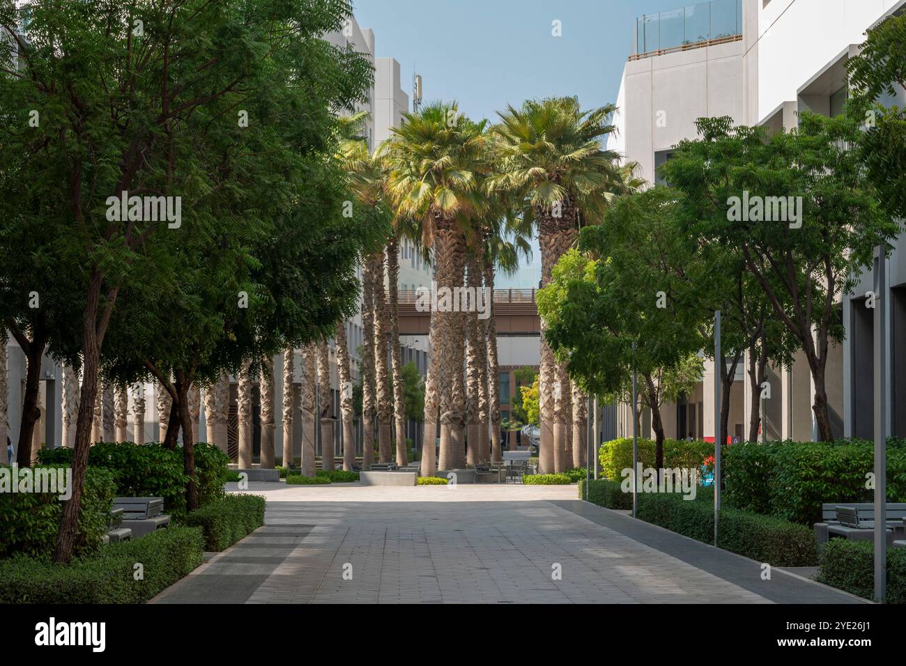 Campus d'Abu Dhabi de l'Université de New York, par l'architecte Rafael Vinoly, 2010 Banque D'Images