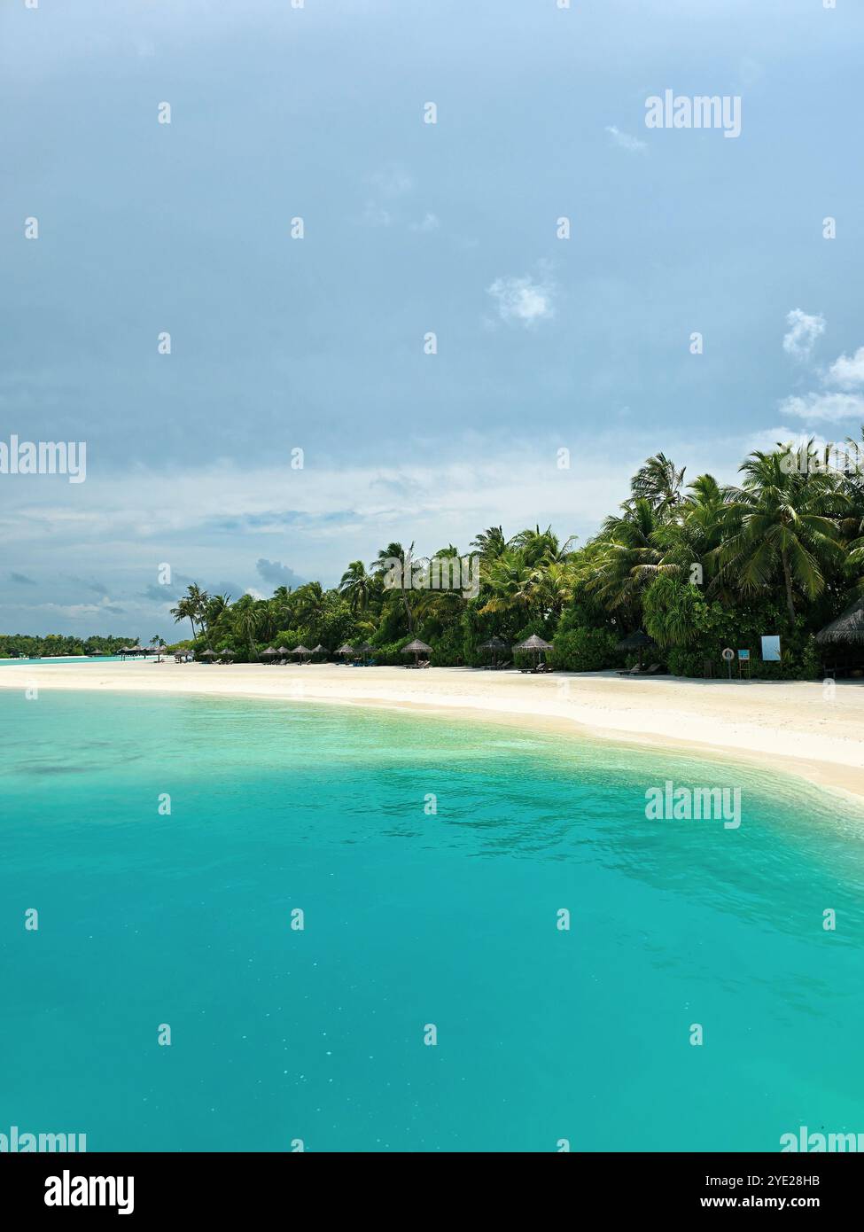 Découvrez la tranquillité sur cette plage immaculée, où les eaux turquoises rencontrent le sable blanc et les palmiers luxuriants. Une évasion parfaite dans le paradis tropical de la nature Banque D'Images