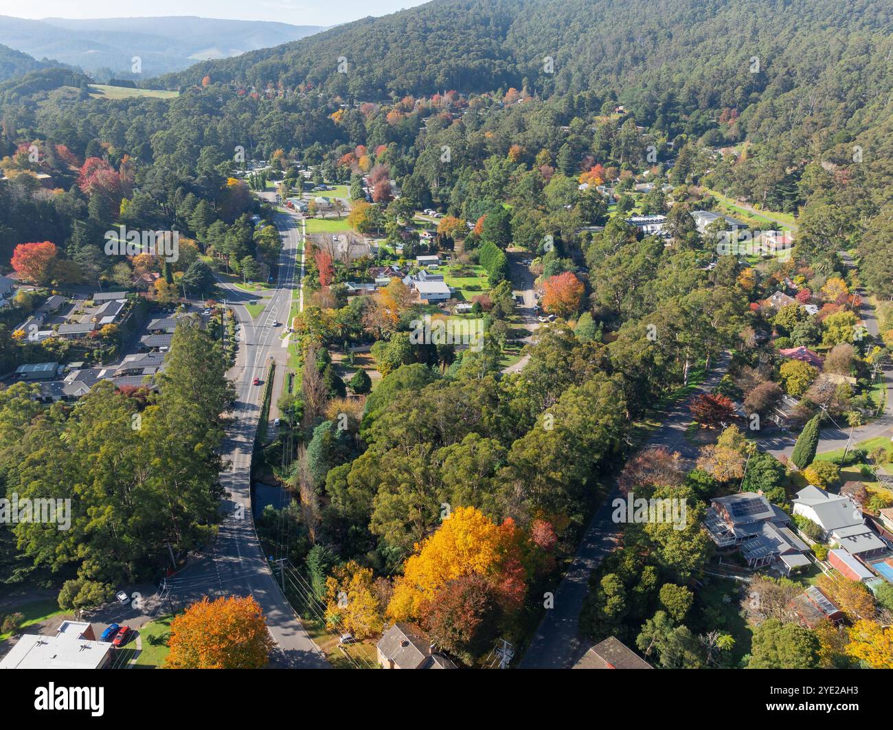 Vue aérienne d'une petite ville de campagne avec des arbres d'automne colorés à Warburton dans la Yarra Valley dans le Victoria, Australie Banque D'Images