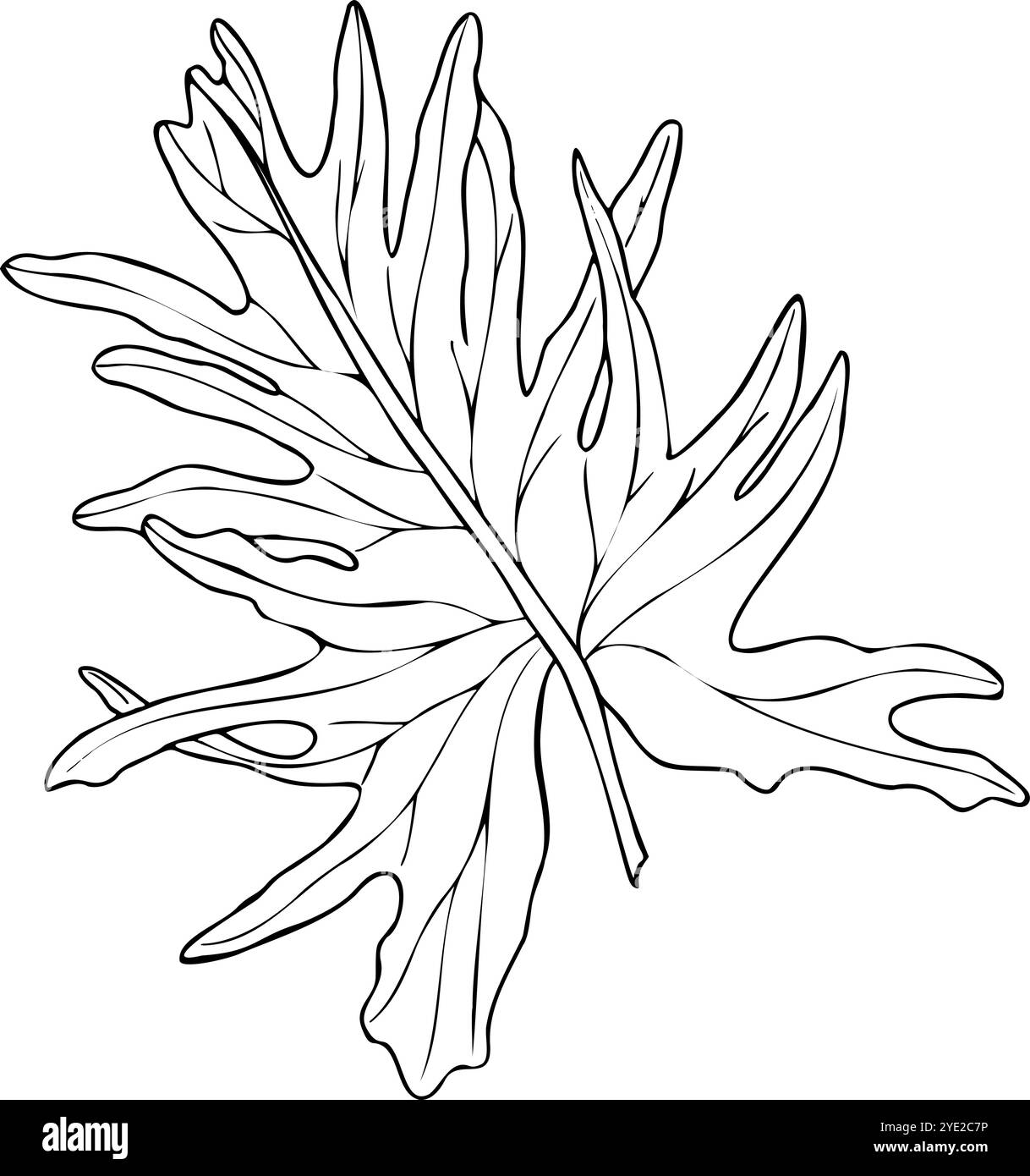 Illustration isolée de vecteur silhouette Philodendron à feuille fendue tropicale unique peinte par des encres noires. Jungle Monstera feuille d'art pour le thème de la nature Illustration de Vecteur