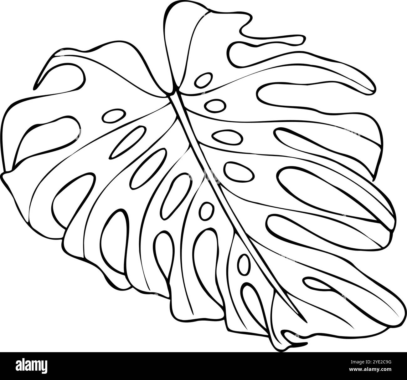Une feuille monochrome de vecteur de plante de monstera rampante illustration isolée peinte par des encres noires. Liane de fromage suisse croquis graphique réaliste Illustration de Vecteur