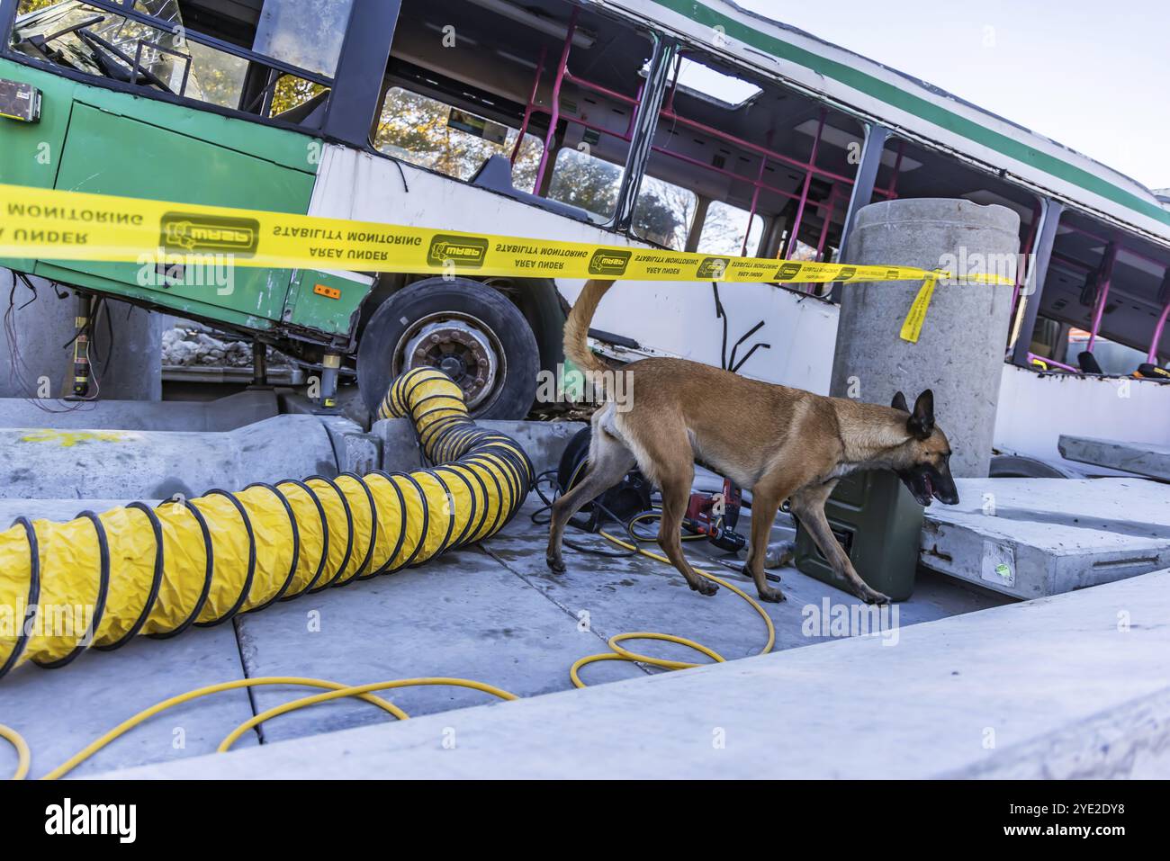 Ampleur de l'exercice international de lutte contre les catastrophes avec plus de 1000 sauveteurs. Chien de sauvetage cherchant dans un champ de décombres. Ils répètent un emer Banque D'Images