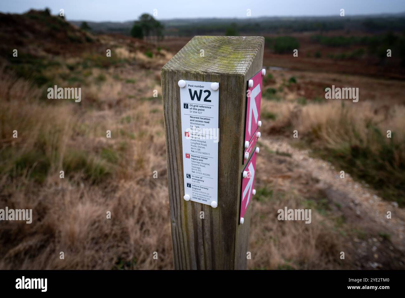 Panneau d'affichage avec des informations d'urgence à Wareham Forest, Dorset, Royaume-Uni Banque D'Images