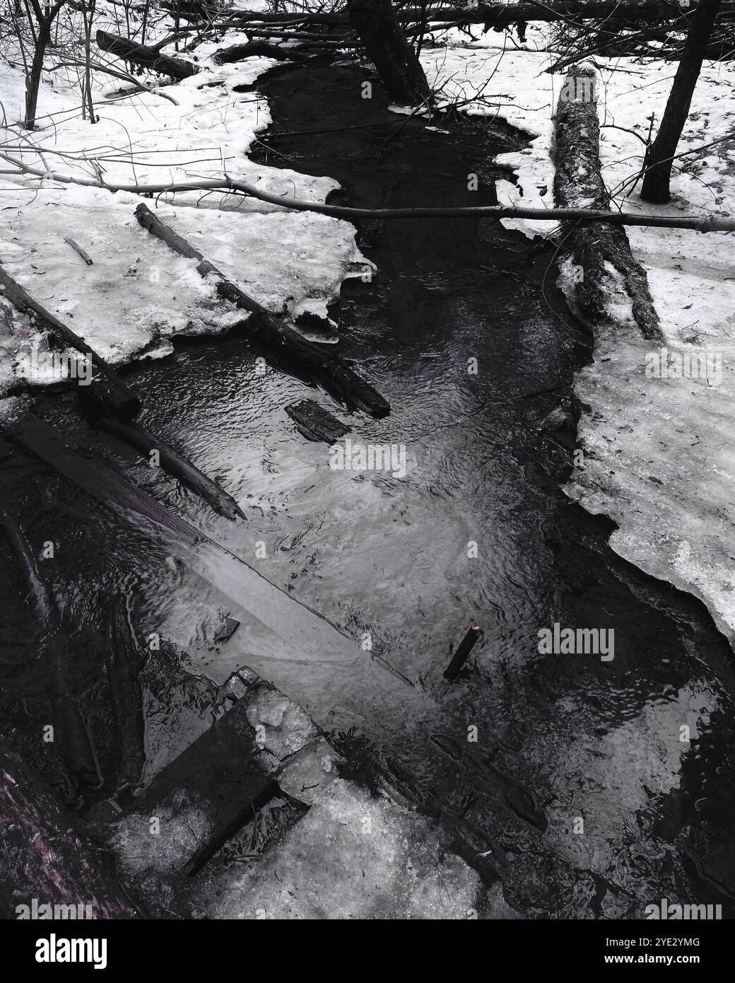 Forêt de Black Metal atmosphérique, forêt sombre et effrayante, rivière d'horreur hivernale Banque D'Images