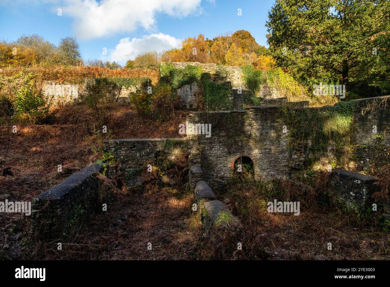 Dark Hill Ironworks. Forêt de Dean, Gloucestershire. ROYAUME-UNI Banque D'Images