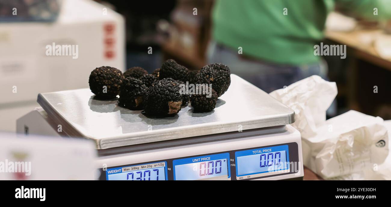 Au Festival de la truffe d'Alba en Italie, les vendeurs pèsent soigneusement les truffes fraîchement récoltées, mettant en valeur la riche tradition culinaire de la région Banque D'Images