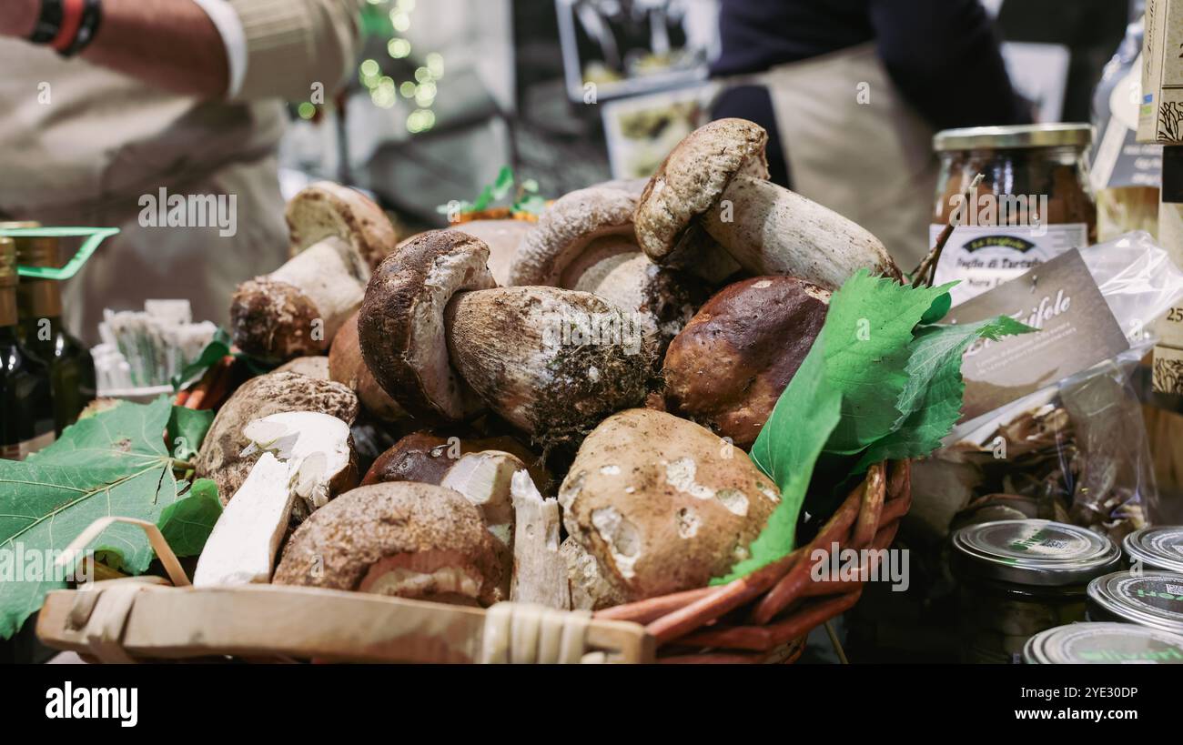 Au Festival de la truffe d'Alba en Italie, différents types de champignons sont présentés, mettant en valeur la richesse automnale de la région Banque D'Images