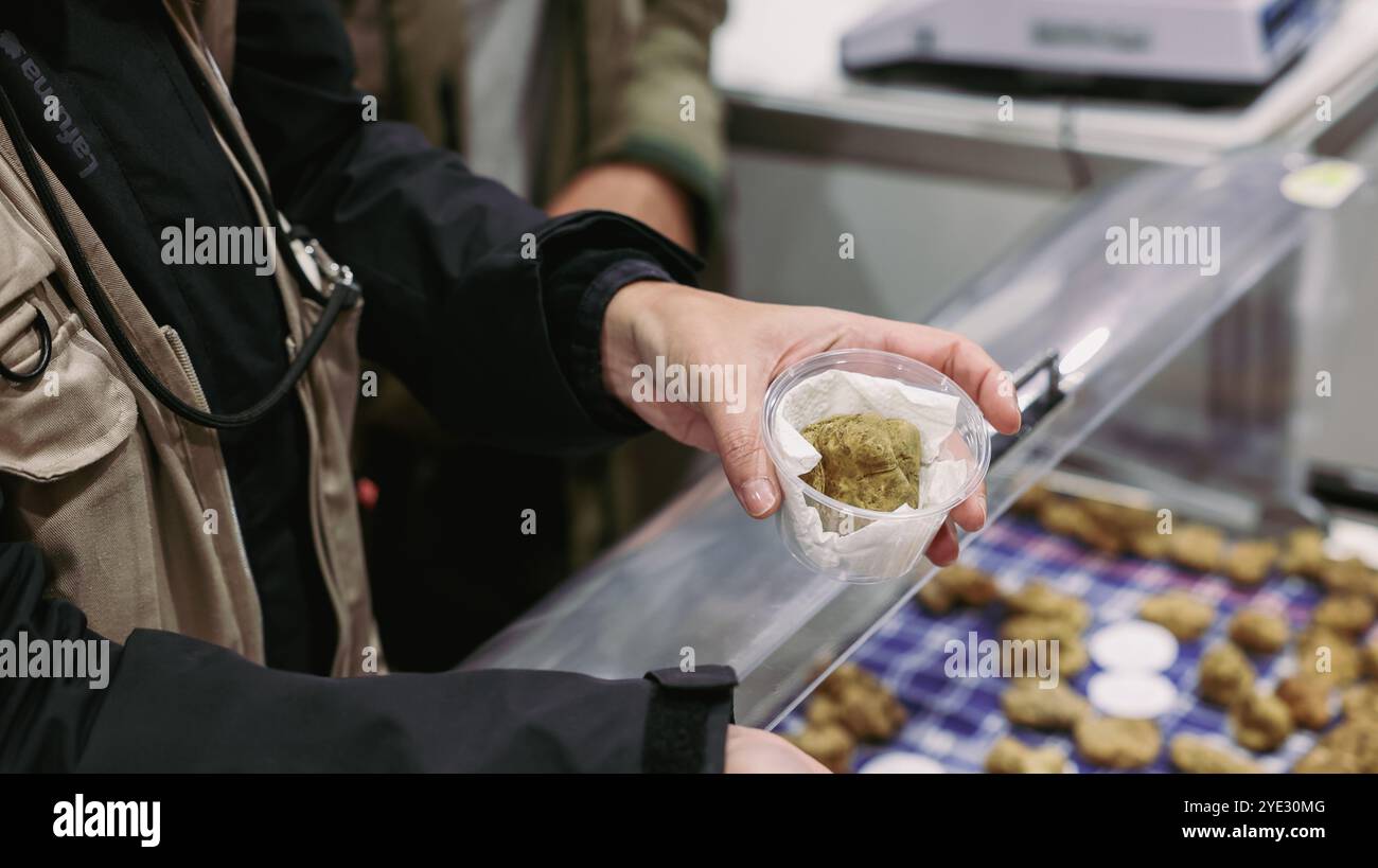 Au Festival de la truffe d'Alba en Italie, un participant tient soigneusement un récipient rempli de truffes fraîchement récoltées Banque D'Images
