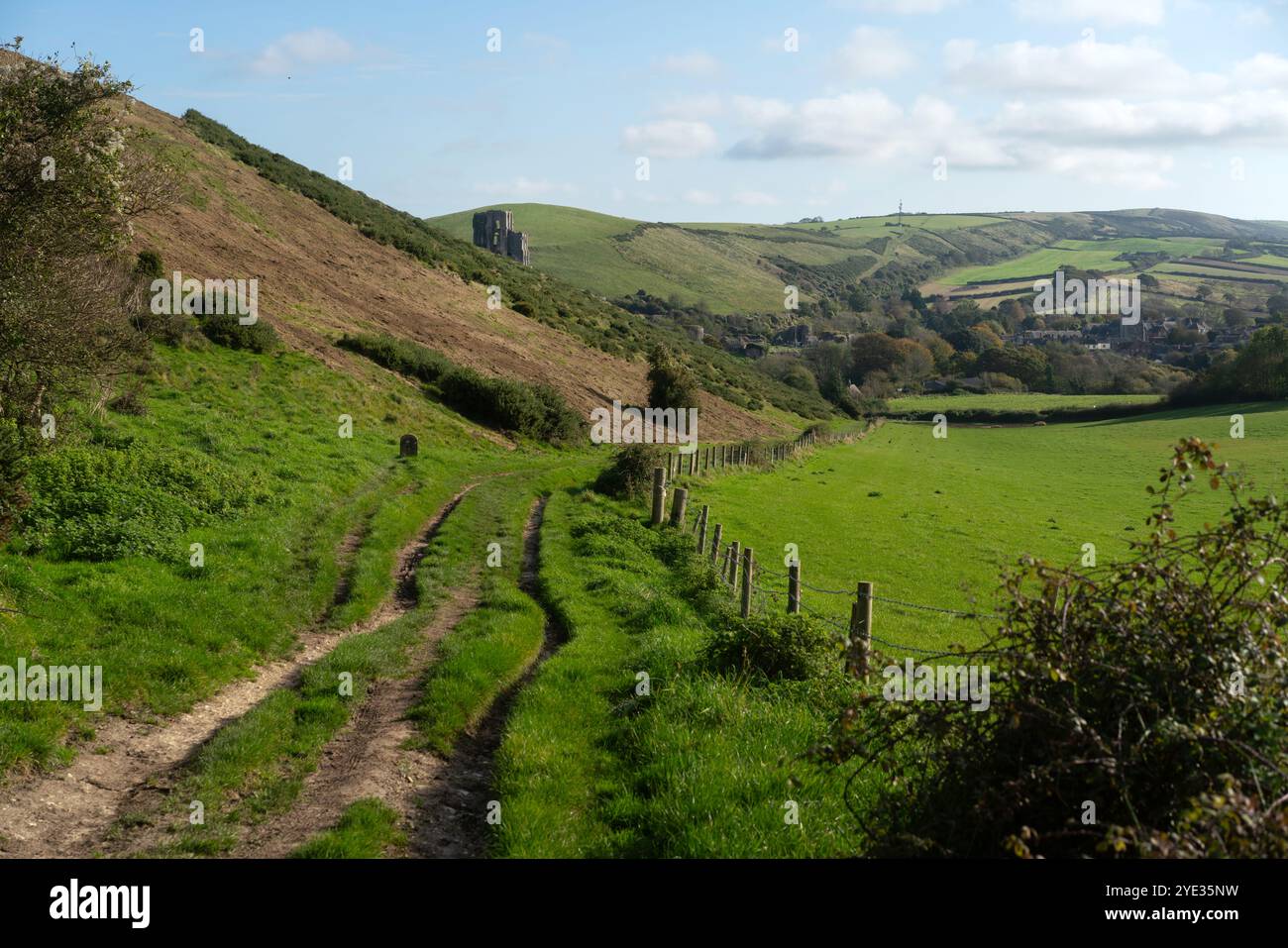 Les ruines de Corfe Castle dans le Dorset, UK Banque D'Images