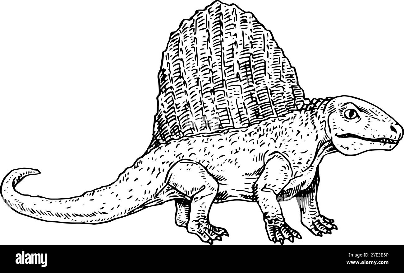 Dimetrodon - illustration de dinosaure réaliste dessinée à la main en noir et blanc | vue latérale Banque D'Images