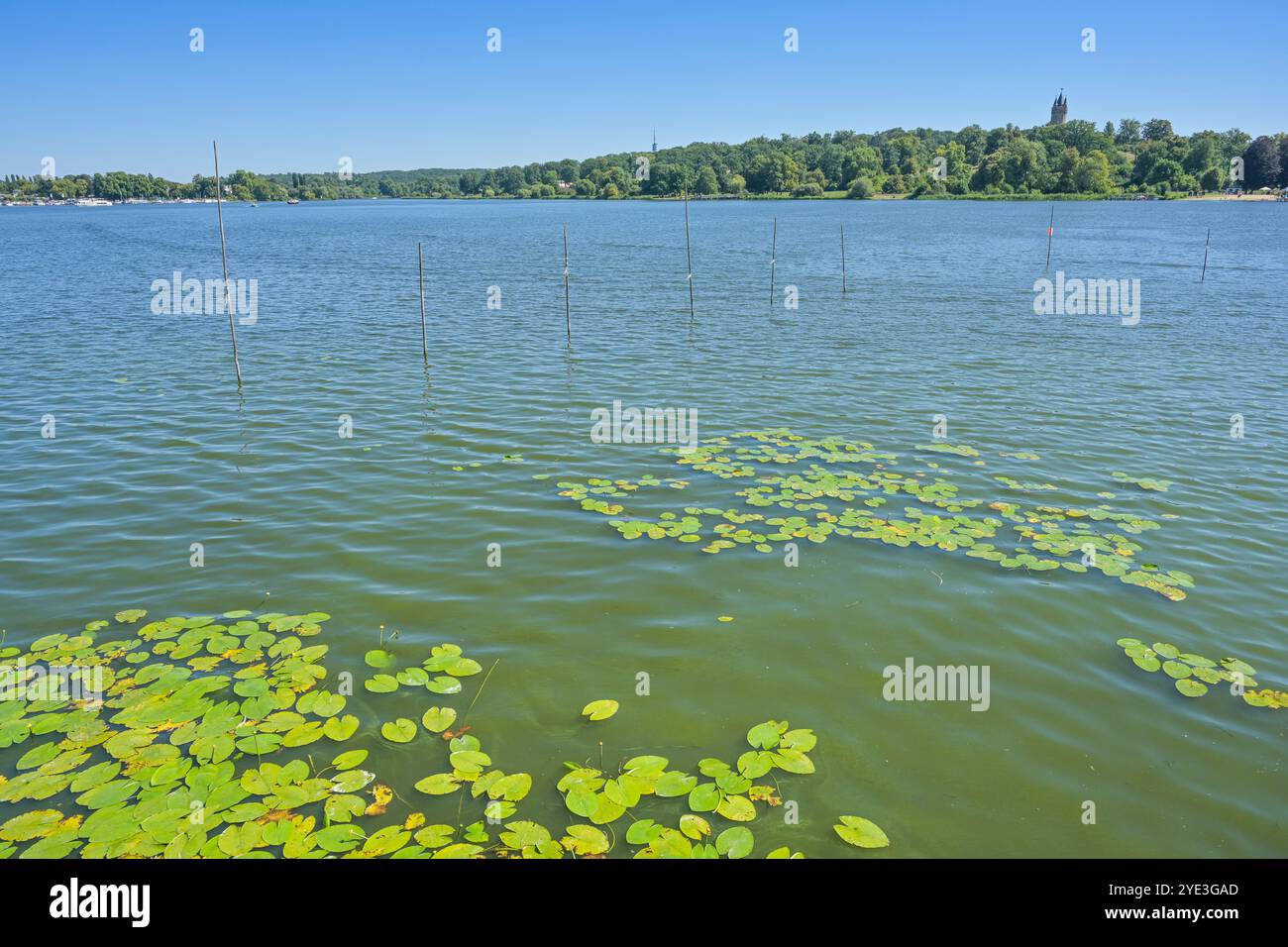 Tiefer See, Havel, Hinten Park Babelsberg, Potsdam, Brandebourg, Deutschland Banque D'Images