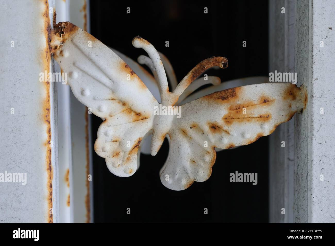 Gros plan d'un ornement papillon blanc en métal rouillé sur un cadre de fenêtre vintage. Banque D'Images