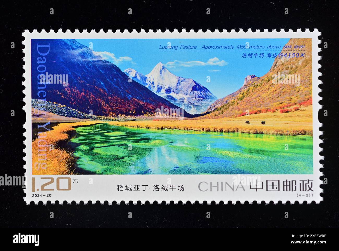 CHINE - VERS 2024 : un timbre imprimé en Chine montre 2024-20 Daocheng Yading Xiannairi, vers 2024. Banque D'Images