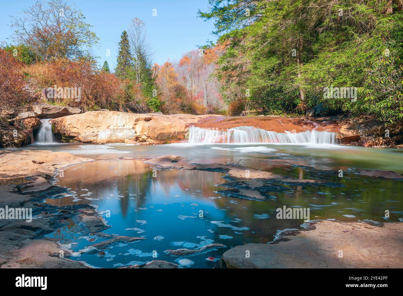 Teresa Falls sur la rivière North Fork Blackwater dans le comté de Tucker. Virginie occidentale. ÉTATS-UNIS Banque D'Images