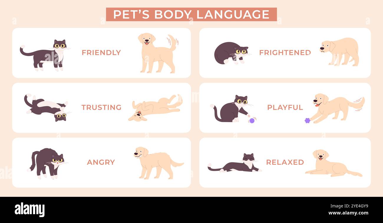 Langage animal. Poses d'expression corporelle de chien et de chat. Animaux dans diverses poses émotionnelles pour affiche éducative. Bannière de vecteur racé d'émotions d'animaux Illustration de Vecteur