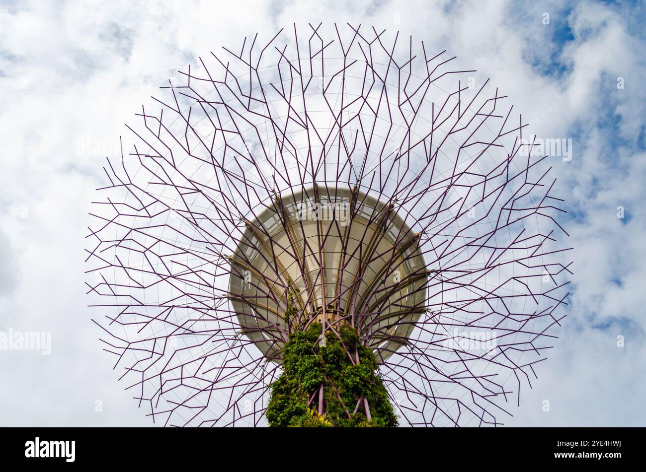 Supertree Grove arbres dans les jardins de la baie Banque D'Images