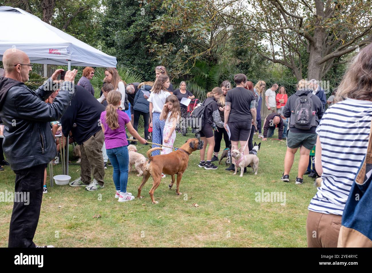 Exposition canine locale à Whitstable dans le Kent où les gens et les familles se rassemblent pour célébrer et montrer leurs chiens de compagnie. Banque D'Images