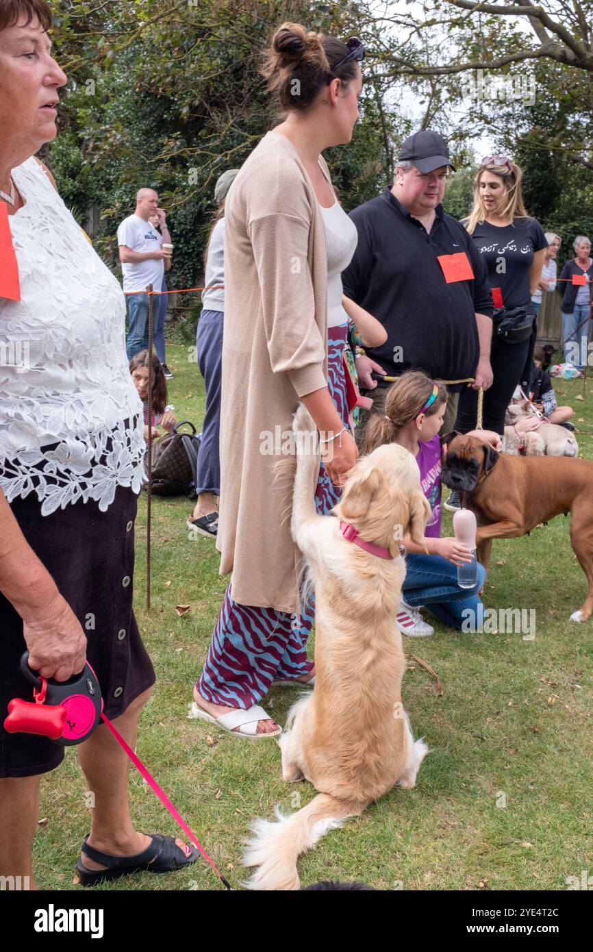 Exposition canine locale à Whitstable dans le Kent où les gens et les familles se rassemblent pour célébrer et montrer leurs chiens de compagnie. Banque D'Images