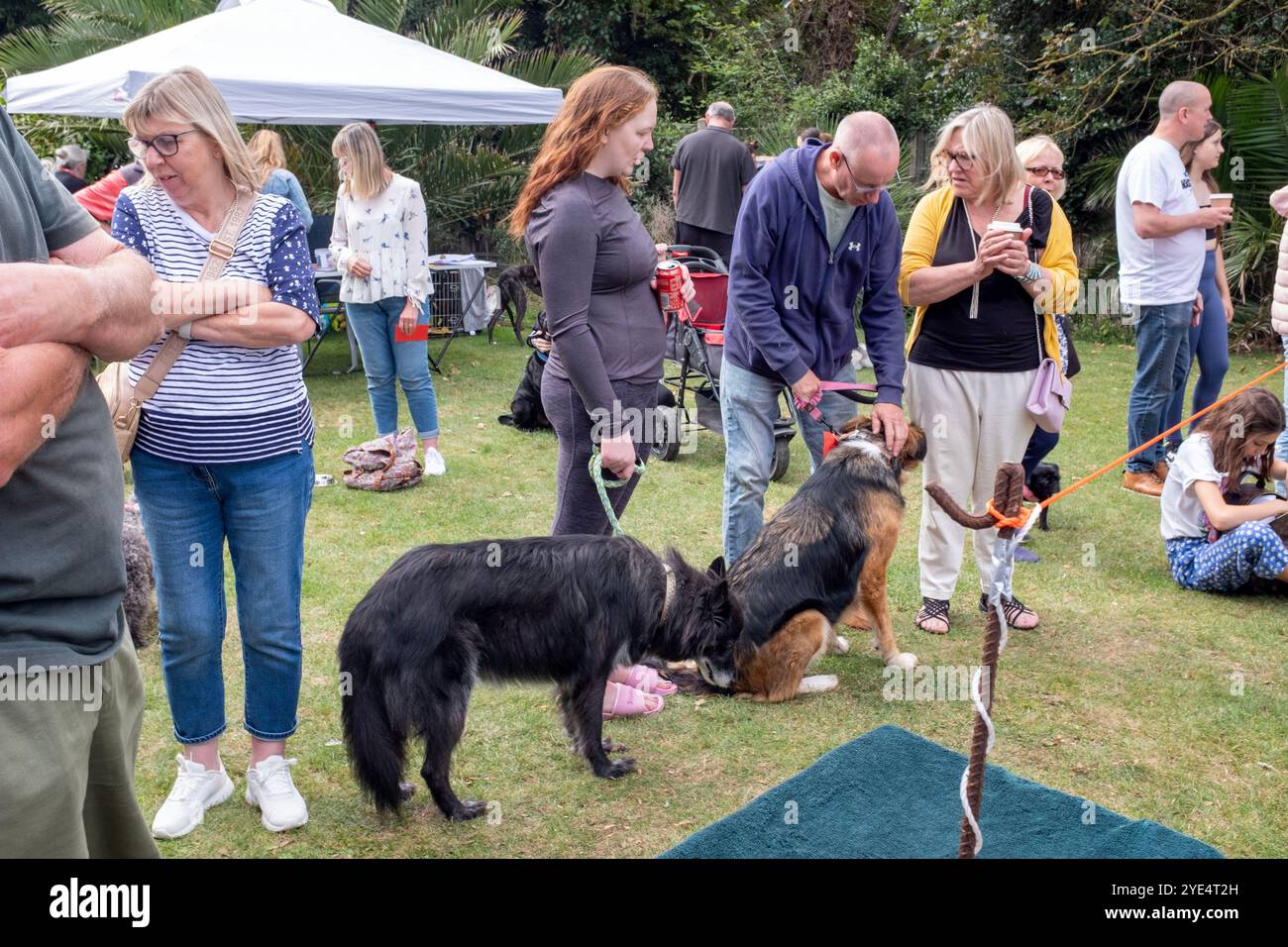 Exposition canine locale à Whitstable dans le Kent où les gens et les familles se rassemblent pour célébrer et montrer leurs chiens de compagnie. Banque D'Images