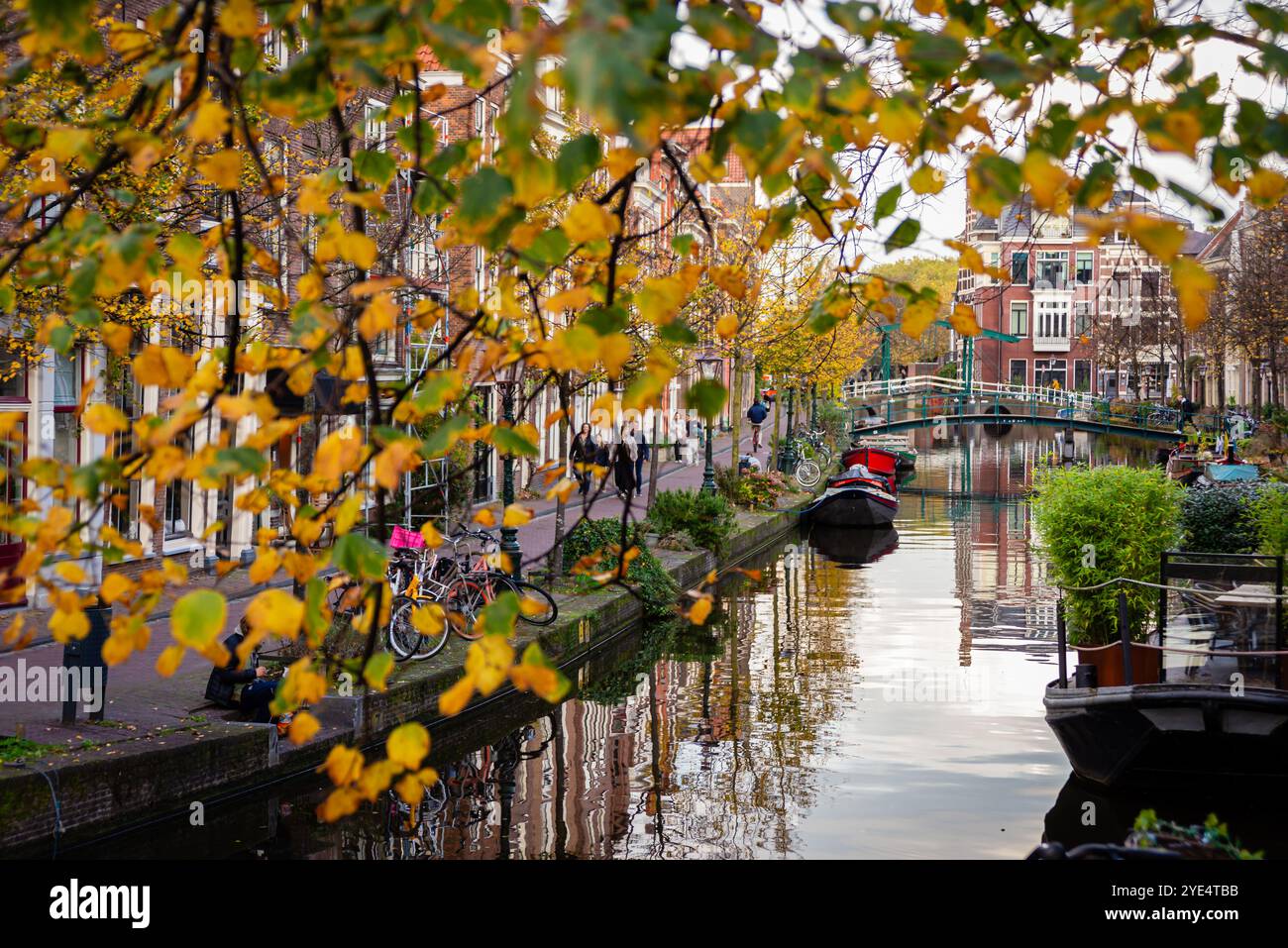 24.10.2024 Leyde, pays-Bas, Une vue d'automne sereine sur les canaux de Leyde, encadrés par des feuilles dorées et des bâtiments hollandais historiques. Des vélos bordent le Banque D'Images