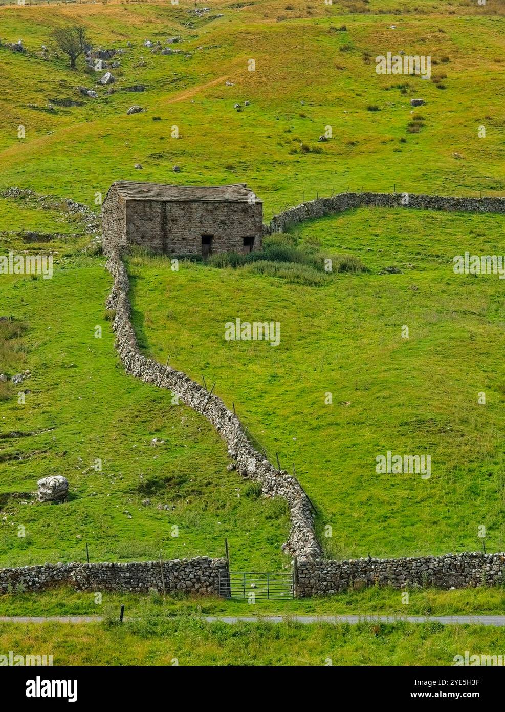 Lointaine Hillside Field Barn près de Yockenthwaite, Upper Wharfedale, Langstrothdale Chase, North Yorkshire. Grande-Bretagne. Banque D'Images