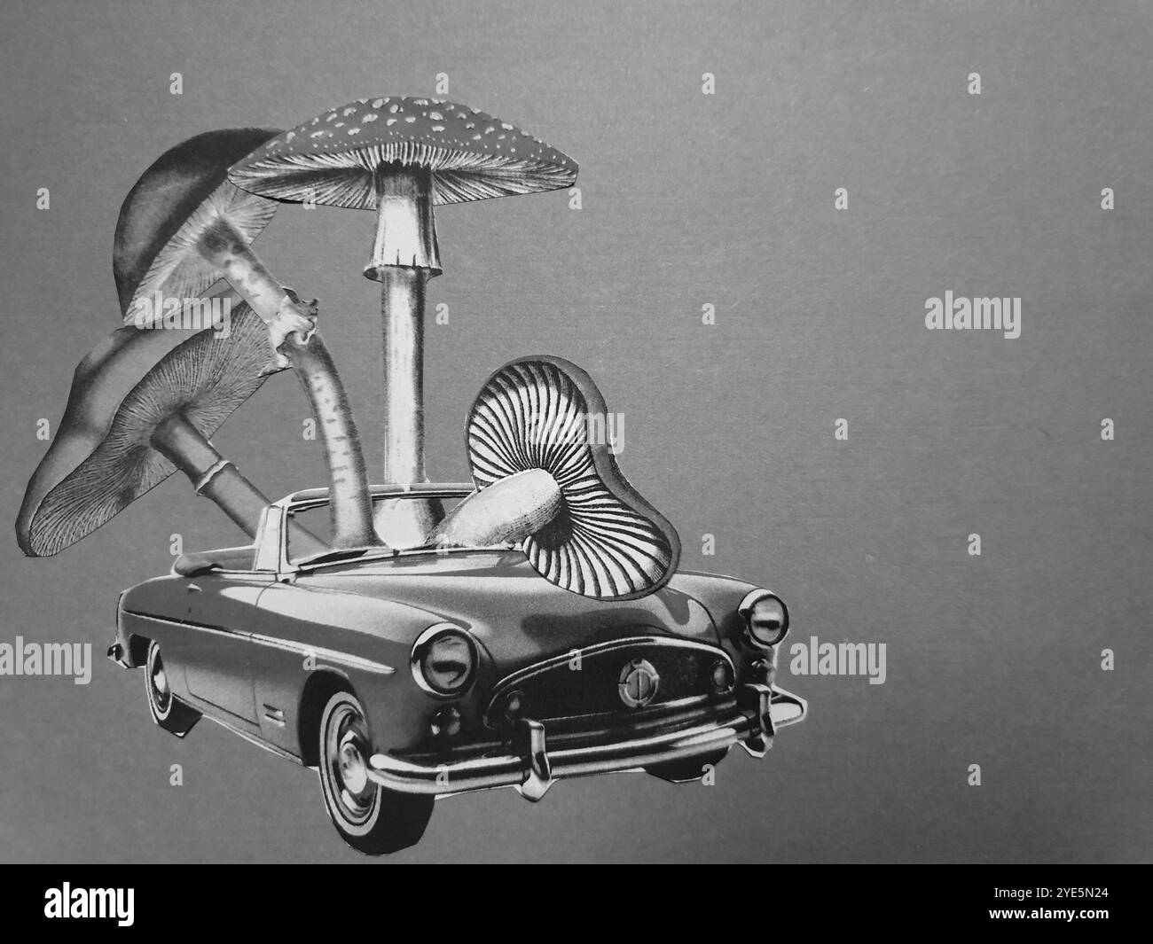 Art conceptuel de collage surréaliste d'une voiture rouge avec quatre champignons différents assis dedans Banque D'Images