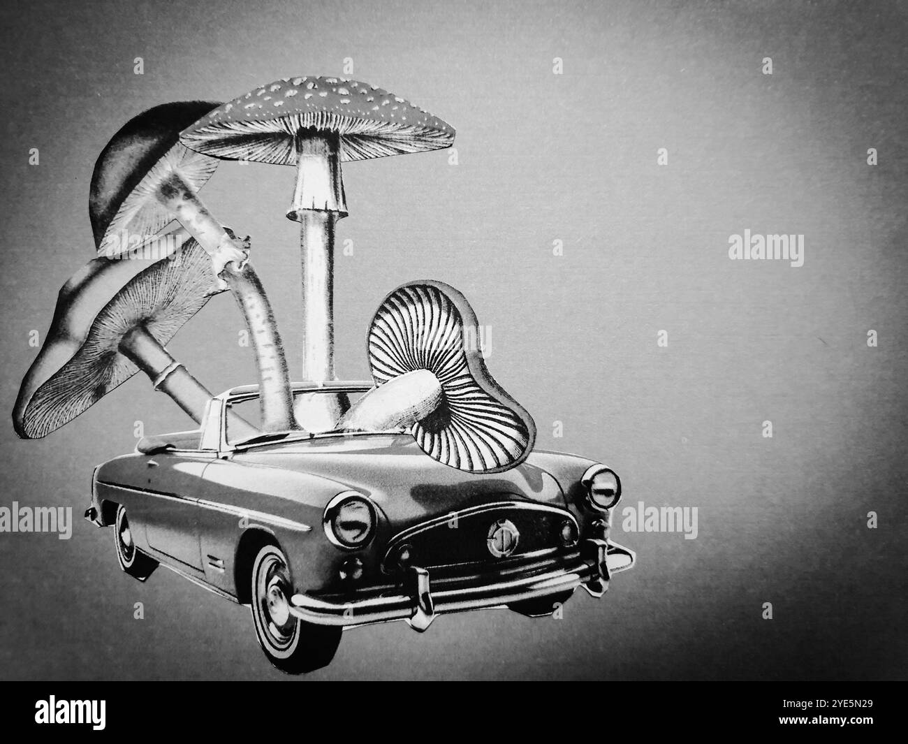 Art conceptuel de collage surréaliste d'une voiture rouge avec quatre champignons différents assis dedans Banque D'Images