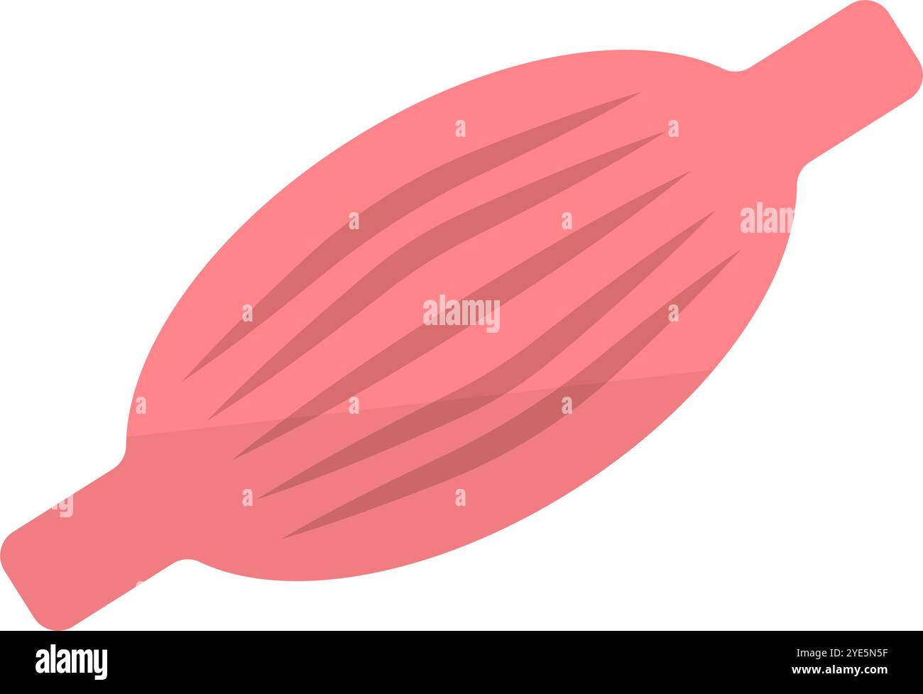 Icône anatomie musculaire. Fibre musculaire. Vecteur modifiable. Illustration de Vecteur
