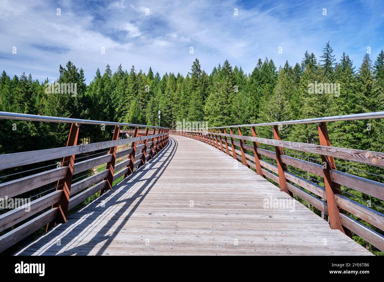 Une vue le long du chemin du pont ferroviaire Kinsol Trestle comme il courbe dans les arbres sur le côté opposé de la rivière Koksilah. Banque D'Images