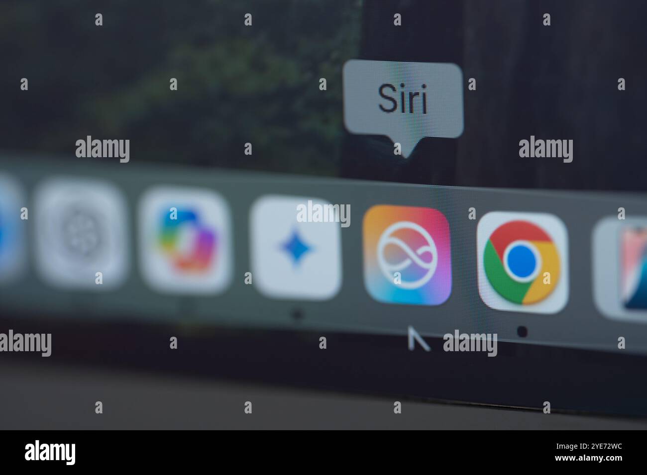New York, États-Unis - 29 octobre 2024 : icône de service AI Siri sur l'écran du macbook vue rapprochée Banque D'Images