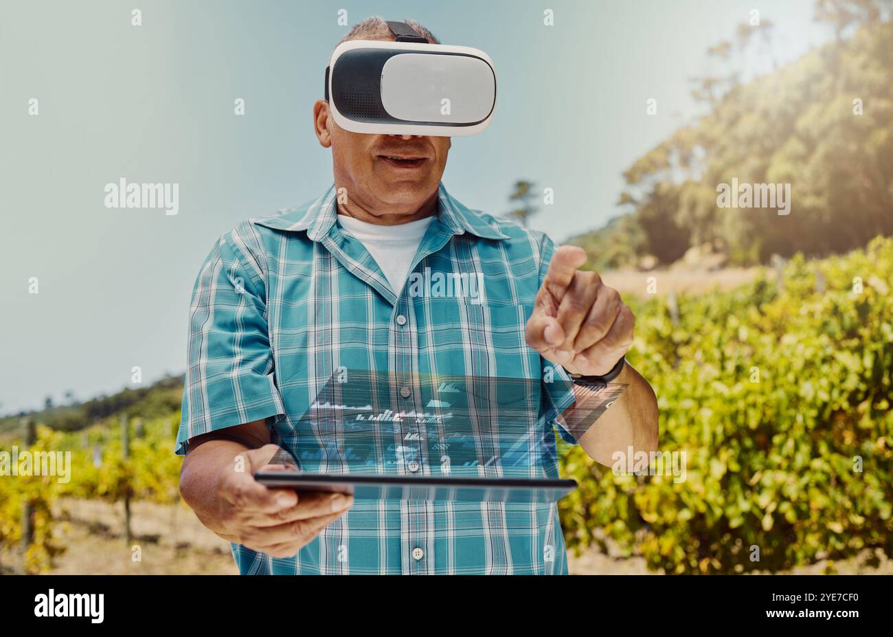 Senior, homme et superposition avec casque vr dans le vignoble pour métaverse interactive, visite des vignobles ou innovation numérique. Expérience tablette, invité ou utilisateur Banque D'Images