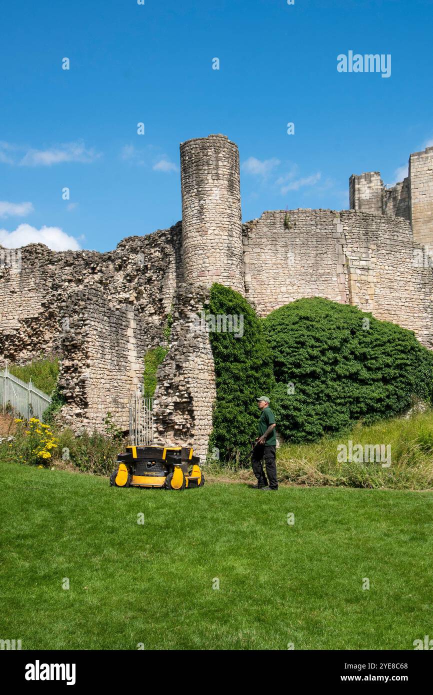 Yorkshire, Royaume-Uni – 23 juillet 2024 : un jardinier tond l'herbe devant le château de Conisbrough, une fortification médiévale du XIIe siècle Banque D'Images