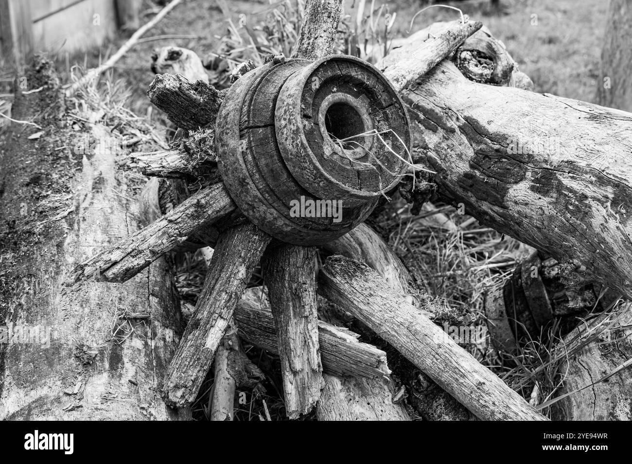 Vieille roue de wagon pourrie et altérée, dont il ne reste que le moyeu de roue et quelques rayons, sur un tas de bois derrière une ferme. Banque D'Images