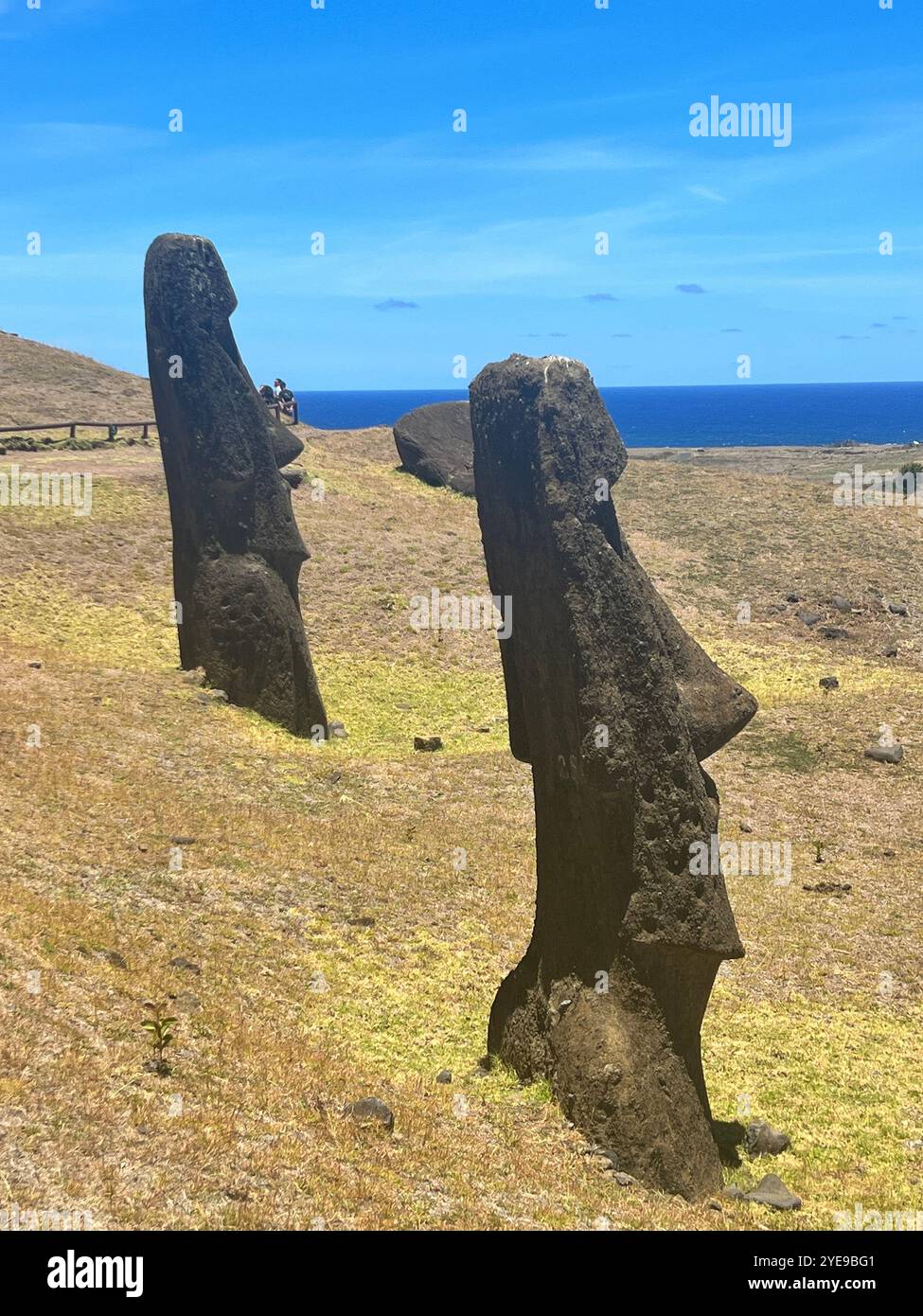 Deux statues de moai à la carrière de Rano Raraku sur l'île de Pâques, au Chili, surplombant l'océan Pacifique sous un ciel bleu. Site classé au patrimoine mondial de l'UNESCO. - Image de stock capturée avec un smartphone