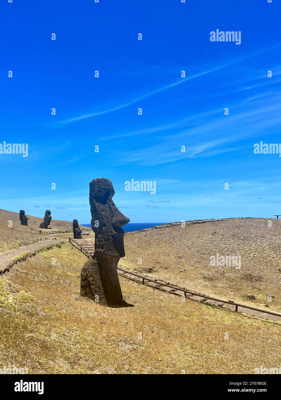 Une rangée de statues de moai à la carrière de Rano Raraku sur l'île de Pâques, au Chili, face au Pacifique sous un ciel bleu clair. C'est un site du patrimoine mondial de l'UNESCO. - Image de stock capturée avec un smartphone