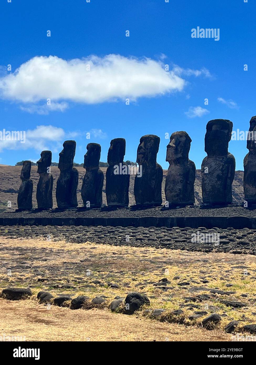 Une rangée de statues de moai sur l'île de Pâques, au Chili, se dresse solennellement sous un ciel bleu. Ces sculptures anciennes reflètent le mystérieux héritage de Rapa Nui. - Image de stock capturée avec un smartphone