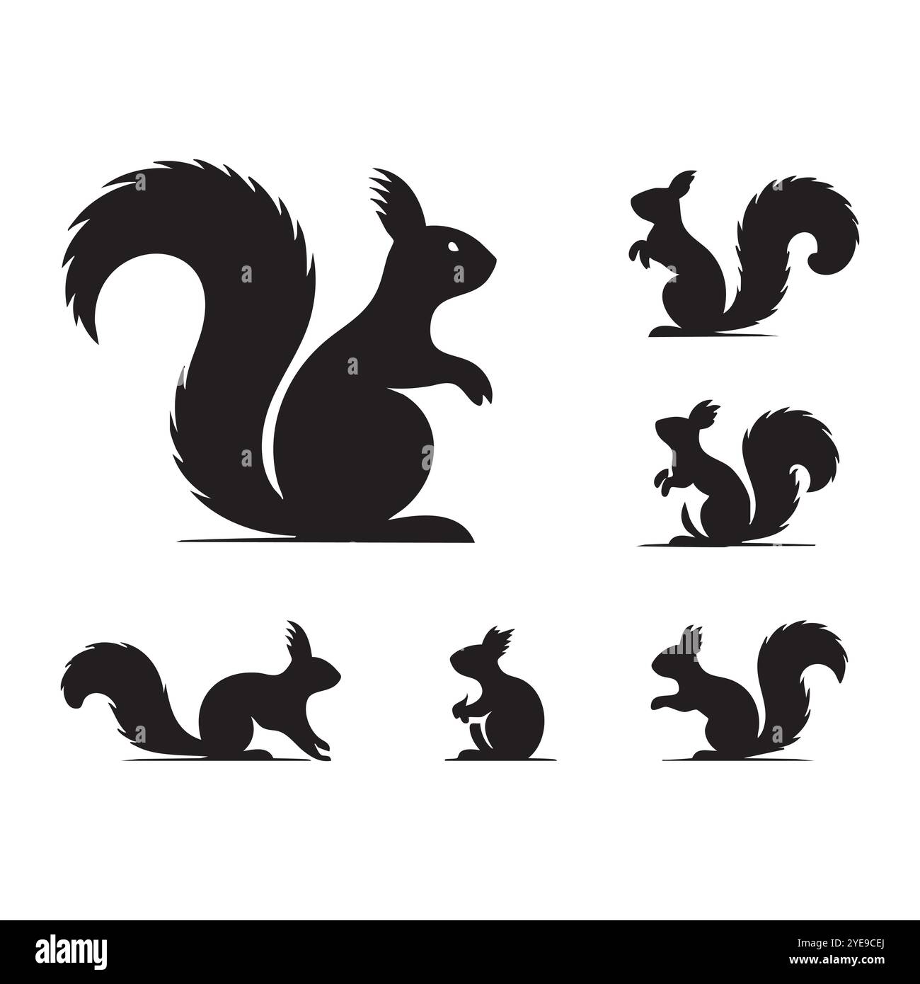 Ensemble de silhouette d'écureuil sur fond blanc Illustration de Vecteur