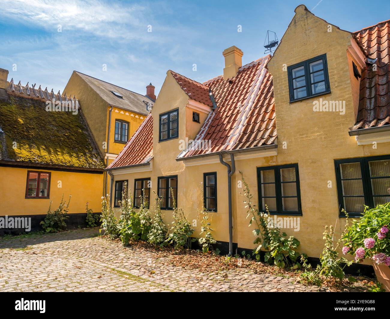 Maisons jaunes historiques dans la vieille ville de Dragør sur l'île d'Amager près de Copenhague, Zélande, Danemark Banque D'Images