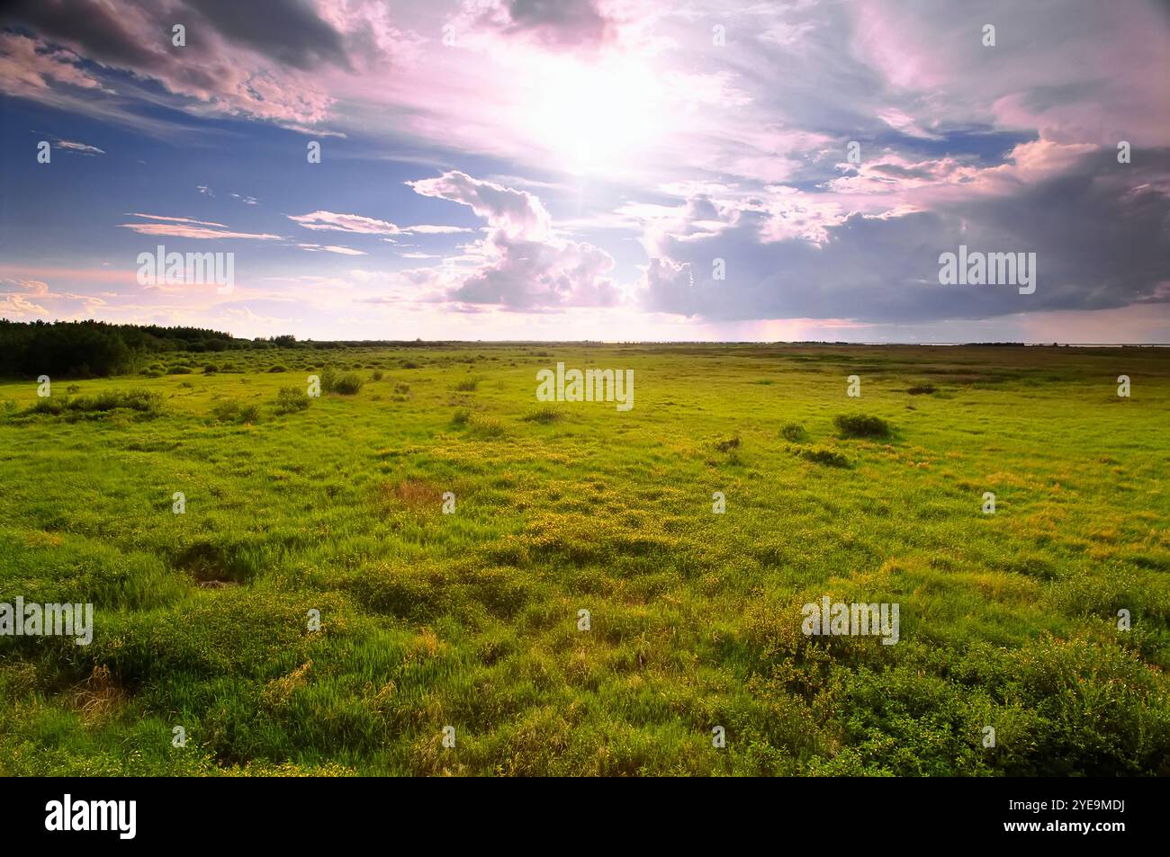 Prairie atteignant l'horizon dans le parc provincial Hecla-Grindstone, Manitoba, Canada ; Manitoba, Canada Banque D'Images