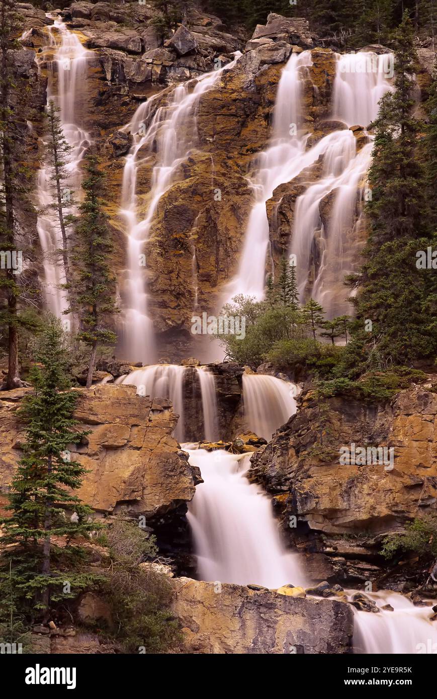 Tangle Creek Falls dans le parc national Jasper ; Alberta, Canada Banque D'Images