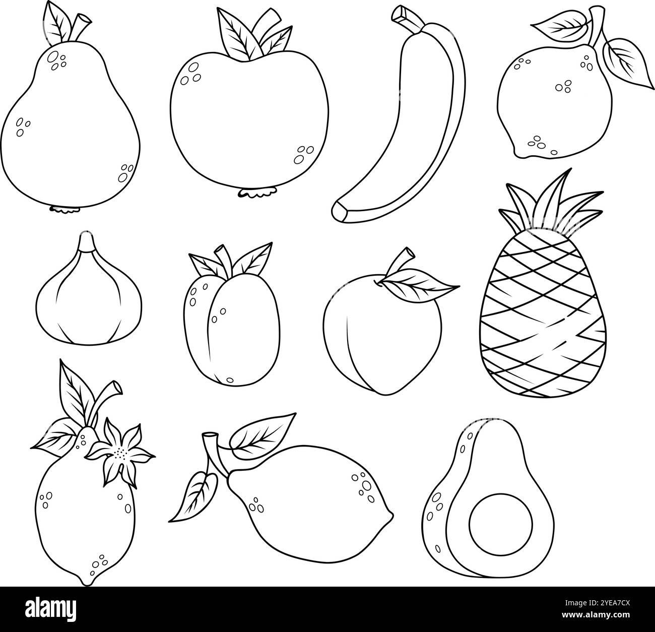 Aperçu de la collection de fruits. Agrumes tropicaux de saison citron et citron vert, ananas, banane, pomme et poire, figue, avocat, abricot et prune. Linéaire isolé Illustration de Vecteur