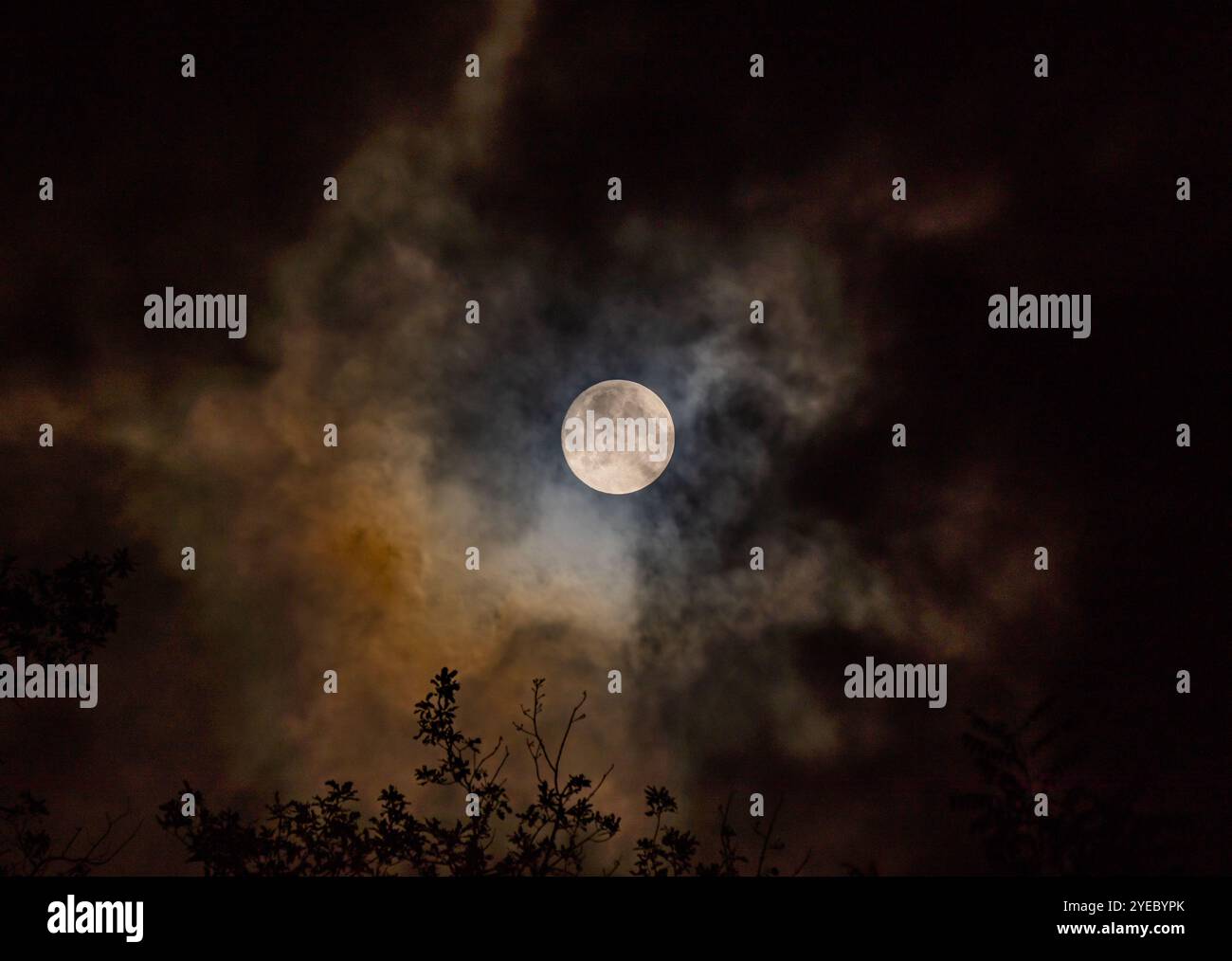 Pleine lune. Banque D'Images