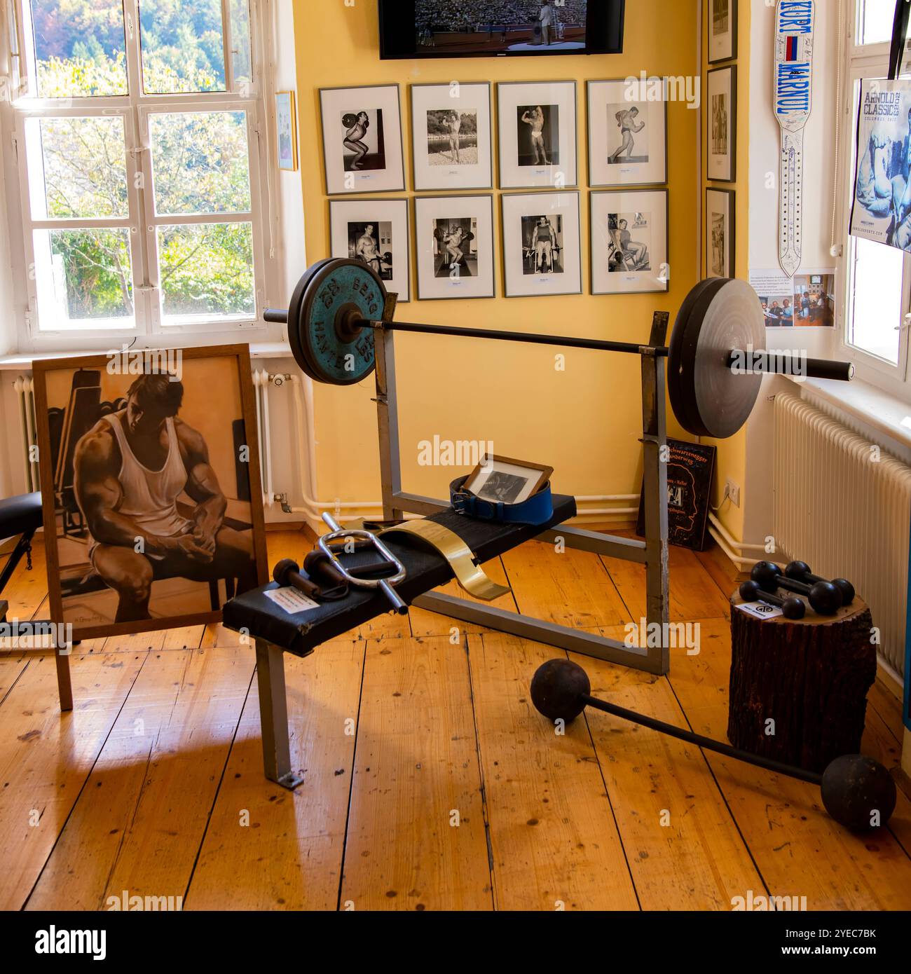 Musée Arnold Schwarzenegger à Thal, Autriche Banque D'Images