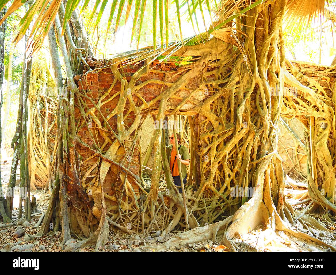 Port Blair, îles Andaman et Nicobar, mer d'Andaman, Inde Banque D'Images