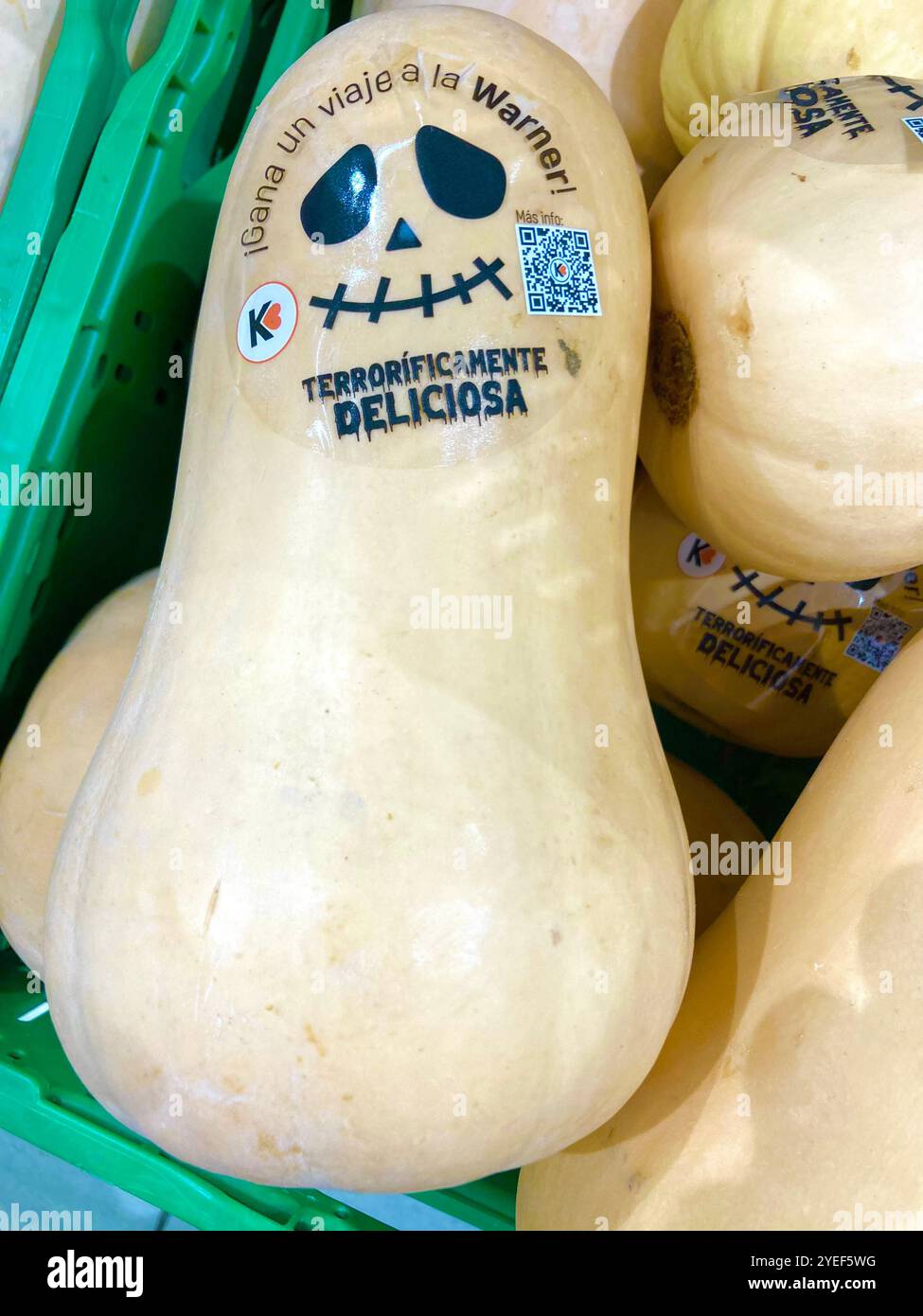 Courge butternut cucurbita moschata à vendre dans un supermarché avec une étiquette adhésive pour halloween jour des morts indiquant terriblement délicieux Banque D'Images