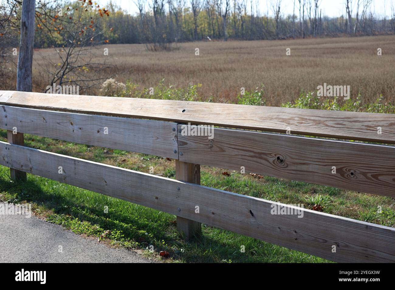 Garde-corps en bois sur le côté du sentier piétonnier dans le parc public Banque D'Images